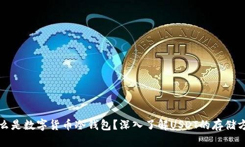 什么是数字货币冷钱包？深入了解USDT的存储方式