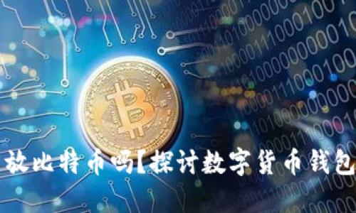 比特币钱包只能放比特币吗？探讨数字货币钱包的多样性与未来