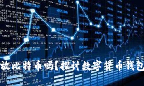 比特币钱包只能放比特币吗？探讨数字货币钱包的多样性与未来