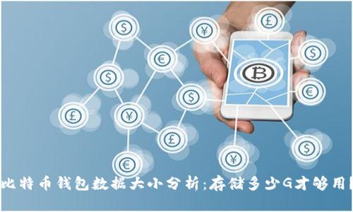 比特币钱包数据大小分析：存储多少G才够用？