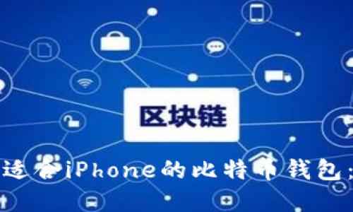 如何选择适合iPhone的比特币钱包：全面指南