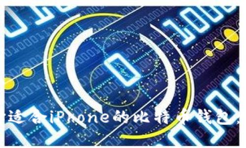 如何选择适合iPhone的比特币钱包：全面指南