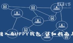 如何将比特币转入QUPPY钱包：详细指南与常见问题