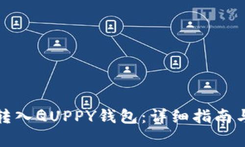 如何将比特币转入QUPPY钱包：详细指南与常见问题解答