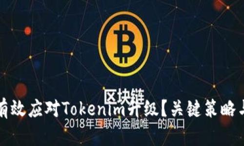 如何有效应对Tokenim升级？关键策略与解析