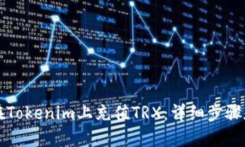 如何在Tokenim上充值TRX：详细步骤和指导