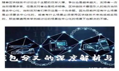 比特币钱包分叉的深度解析与安全指南