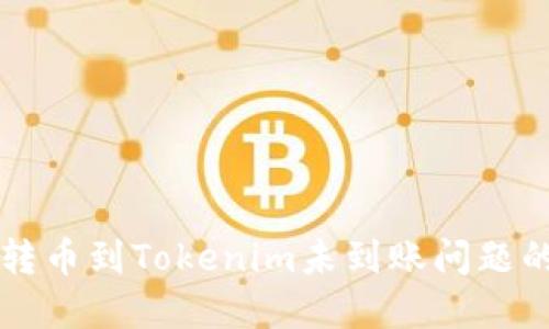 解决转币到Tokenim未到账问题的指南