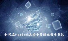 如何在MacBook上安全管理比特币钱包