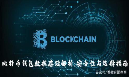 比特币钱包数据存储解析：安全性与选择指南
