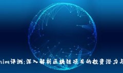 Tokenim评测：深入解析区块链项目的投资潜力与风