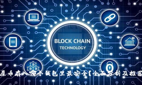 屎币存入哪个钱包里最安全？全面分析及推荐