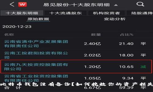 比特币钱包没有备份？如何挽救你的资产损失