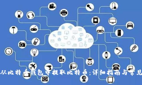 如何从比特币钱包中提取比特币：详细指南与常见问题