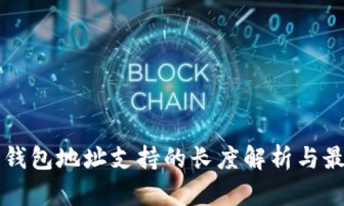 以太坊钱包地址支持的长度解析与最佳实践