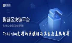 Tokenim支持的区块链及其生态系统分析
