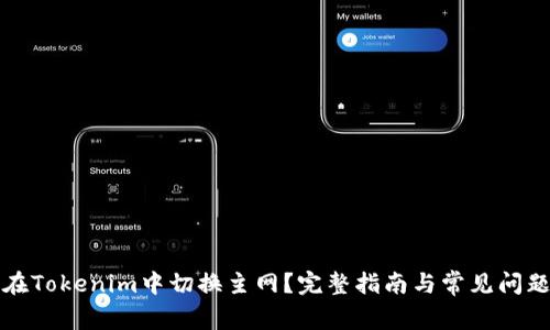 如何在Tokenim中切换主网？完整指南与常见问题解答