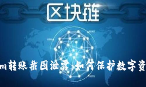 Tokenim转账截图泄露：如何保护数字资产安全