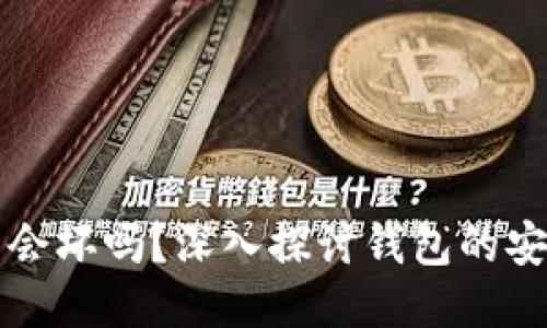 比特币钱包会坏吗？深入探讨钱包的安全性与维护