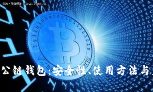 全面解析TON公链钱包：安全性、使用方法与未来发展趋势