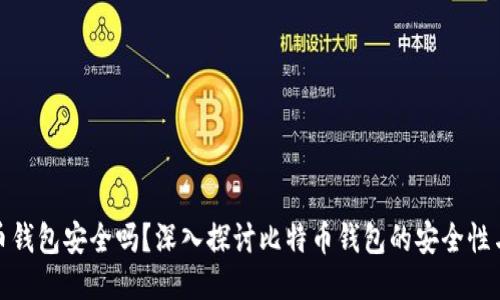 比特币钱包安全吗？深入探讨比特币钱包的安全性与风险