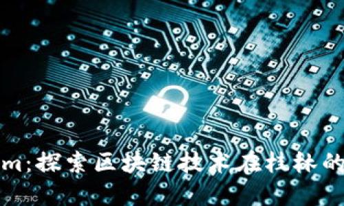 桂林Tokenim：探索区块链技术在桂林的应用与发展