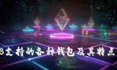 SHIB支持的各种钱包及其特点详解