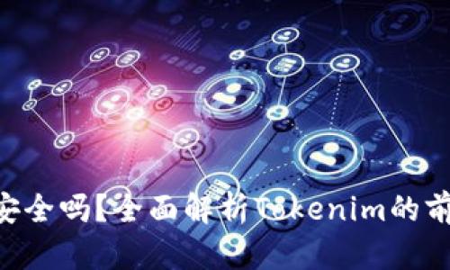 Tokenim安全吗？全面解析Tokenim的前景与风险
