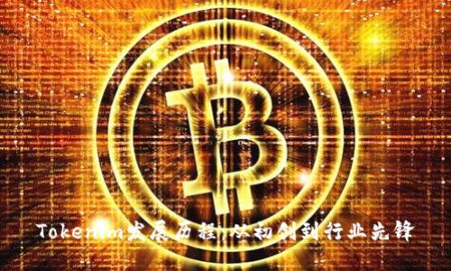 Tokenim发展历程：从初创到行业先锋