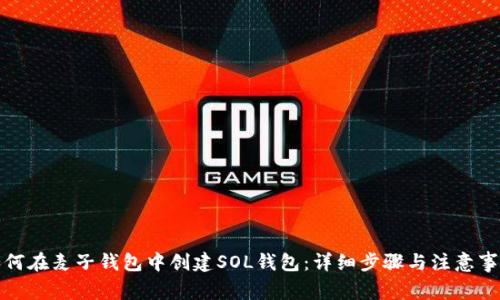 如何在麦子钱包中创建SOL钱包：详细步骤与注意事项