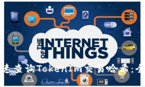 如何快速查询TokenIm交易哈希：全面指南