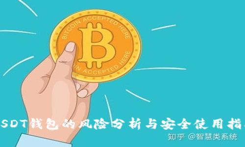 USDT钱包的风险分析与安全使用指南