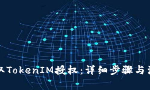 如何获取TokenIM授权：详细步骤与注意事项