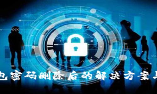 比特币钱包密码删除后的解决方案与安全指南