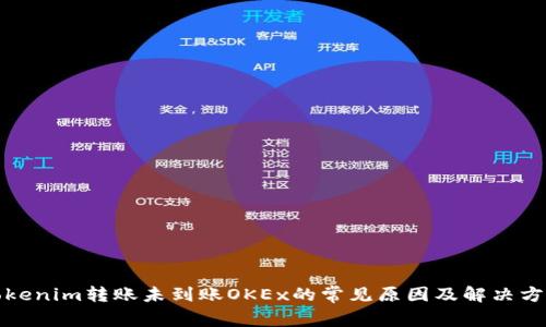 Tokenim转账未到账OKEx的常见原因及解决方案