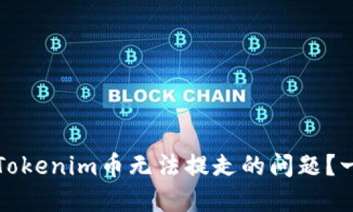 如何解决Tokenim币无法提走的问题？一站式指南