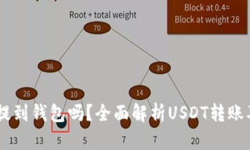 USDT可以提到钱包吗？全面解析USDT转账及其安全性