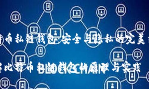比特币私链钱包：安全与隐私的完美结合

理解比特币私链钱包的原理与实践