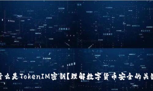 什么是TokenIM密钥？理解数字货币安全的关键