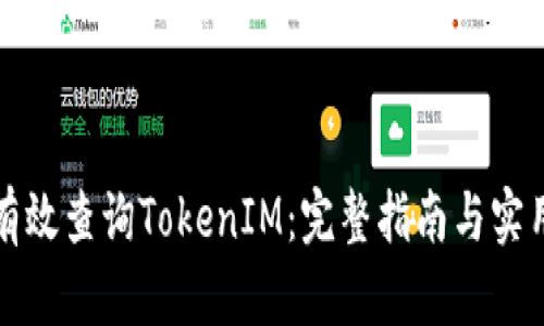 如何有效查询TokenIM：完整指南与实用技巧