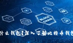 比特币存储在什么钱包？深入了解比特币钱包的