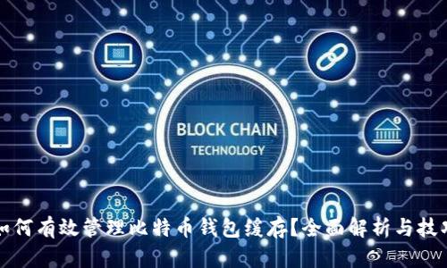 如何有效管理比特币钱包缓存？全面解析与技巧