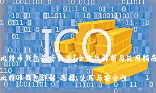 比特币钱包是啥软件？全方位解析与使用指南

比特币钱包详解：选择、使用与安全性