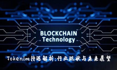 Tokenim待遇解析：行业现状与未来展望