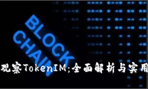 如何观察TokenIM：全面解析与实用指南