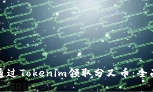 如何通过Tokenim领取分叉币：全面指南