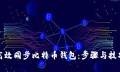 如何高效同步比特币钱包：步骤与技巧详解