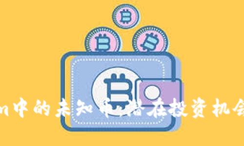 探索Tokenim中的未知币：潜在投资机会与风险评估