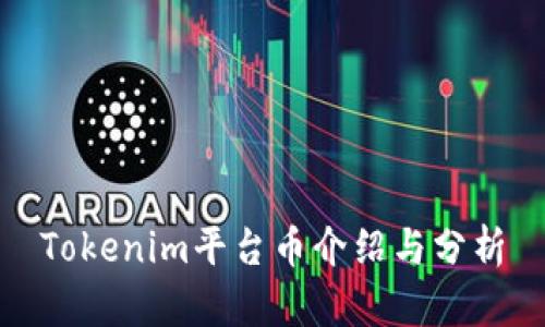 Tokenim平台币介绍与分析