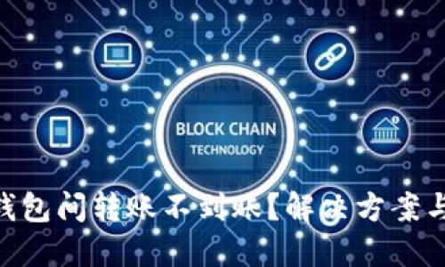 为什么Token钱包间转账不到账？解决方案与预防措施详解